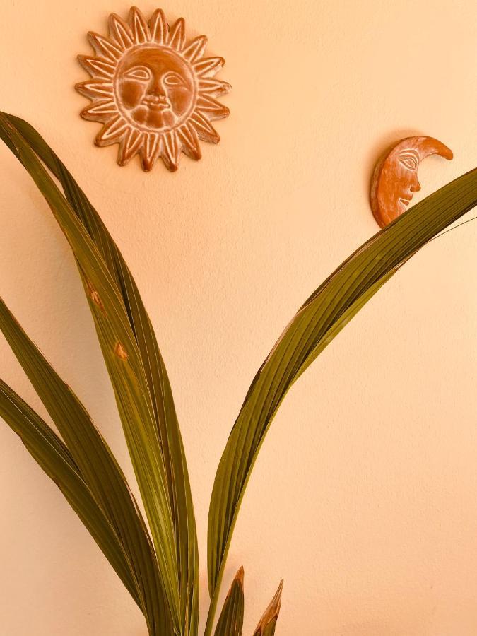 Athens Riviera Garden Views Apartment #Unoblu Eksteriør billede